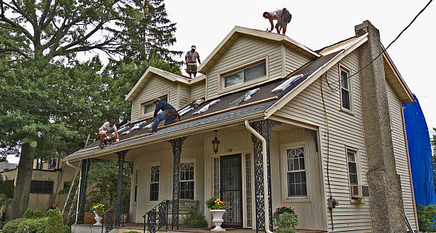 Best Storm Damage Roof Repair  in Land O Lakes, FL